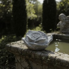 Cement Garden Pretty Rose