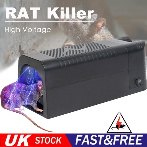 Electronic rat trap - rat, mice