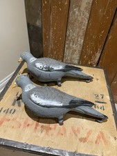 Full Bodied Pigeon Decoy Sporting Goods Hunting Fishing Shooting Grey Plastic