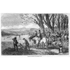 LONDON Coursing Meeting at