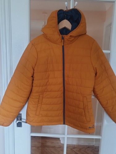Bnwot womens mustard yellow - mustard,