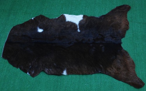Genuine goat hide hair - hair, on