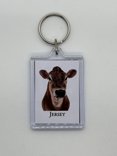 Jersey dairy cow milk cattle - milk,