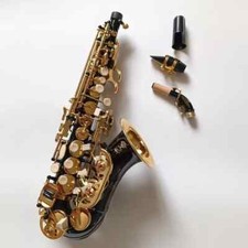 Brand new High quality Curved