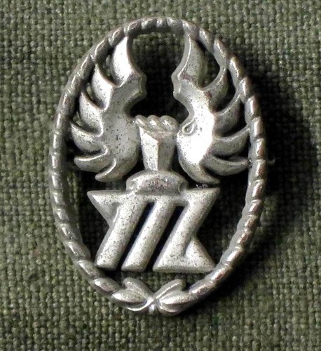 German paratrooper cap badge - paratrooper,