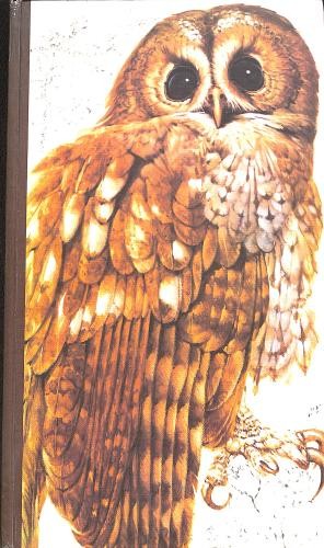 Book british birds - book,