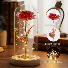 Light Up Flower Rose in Glass