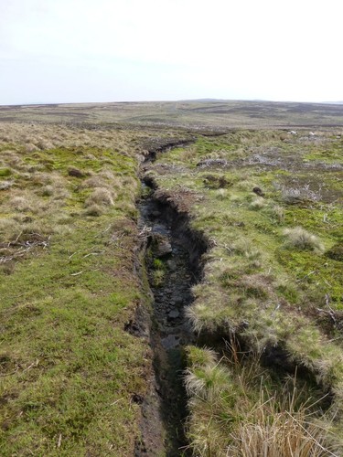 Photo 6x4 deep gully - 6x4,