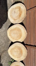 Rustic Wooden Stepping Stones