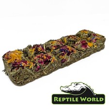 Reptile World Tortoise Flower