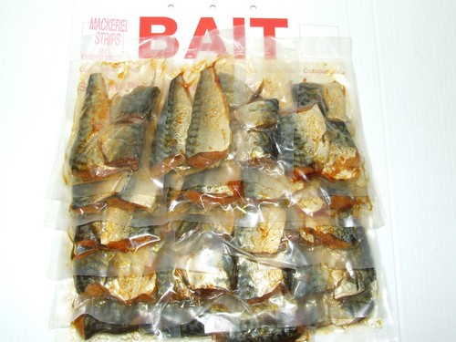 Preserved sea bait squid - sea, white