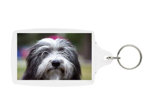 Bearded collie keyring - collie,