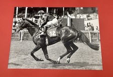 Ten Collectable Assorted