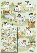 Jack russell terrier dog - terrier, gift