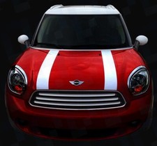 Bonnet Vinyl Stripe Decals |