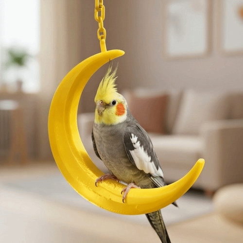 Moon shaped bird flower mirror - flower,