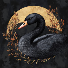 Wall decal sticker black swan
