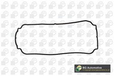 RC7317 BGA Gasket, cylinder