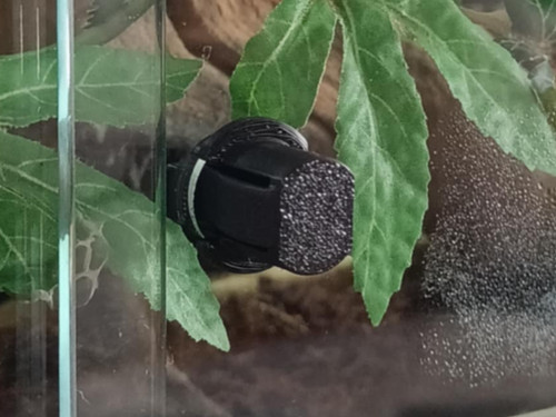 Vivexotic vivarium glass door - vivarium,