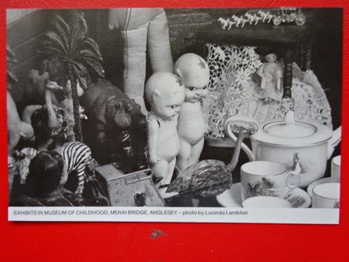 Postcard anglesey exhibits - postcard,