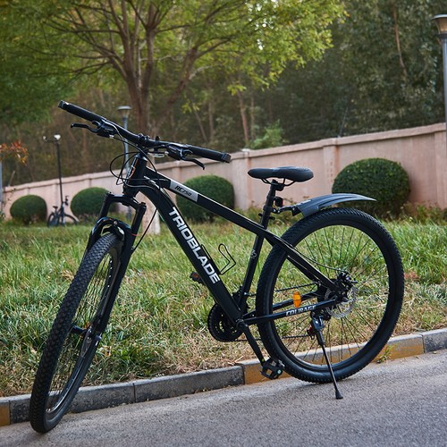 Inch mountain bike - inch, front