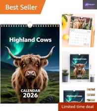 Highland Cow Photography