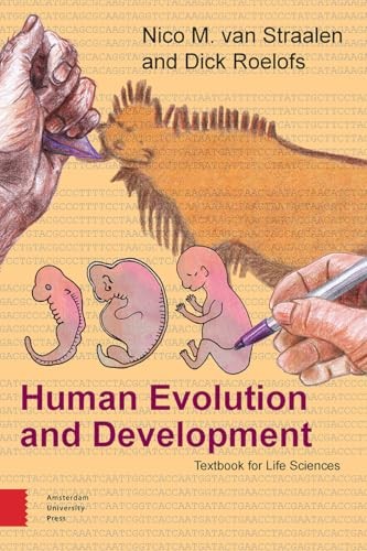 Human evolution and - evolution,
