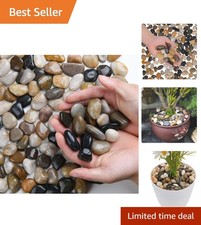 Multi-Colored 2.1 lb Natural