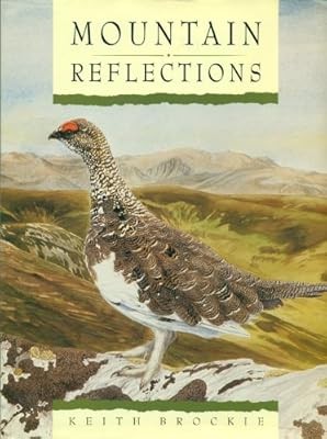 Mountain reflections brockie - mountain,