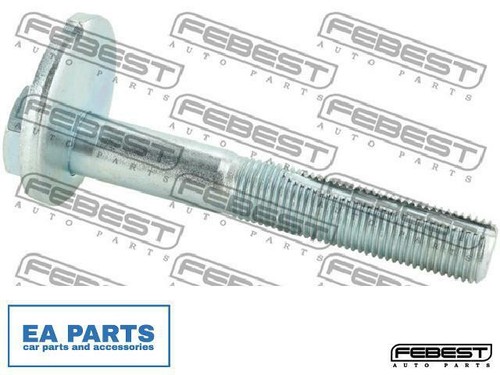 Camber correction screw - screw, for