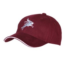 Maroon Para Pegasus Baseball