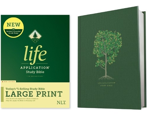 Nlt life application study - application,