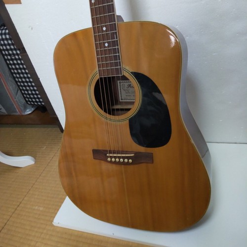 Pro martin vintage acoustic - vintage,