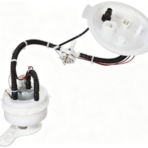 Fuel pump assembly for - fuel,