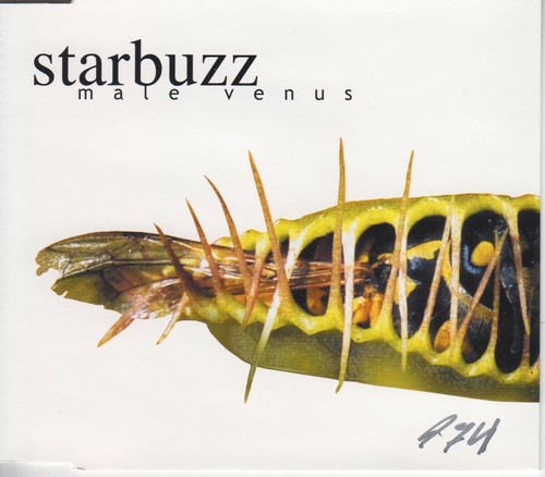 Starbuzz male venus - male,