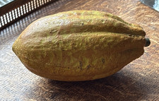PENKRIDGE FRUIT GOURD - REALISTIC - AUTUMNAL INTERIOR DECORATION