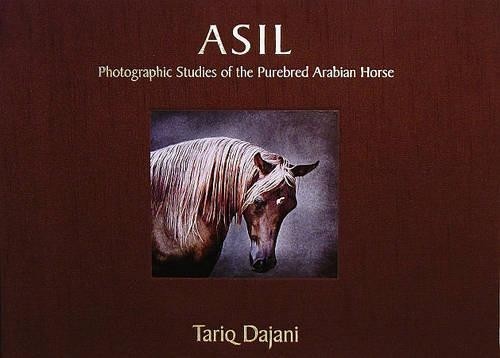 Asil photographic studies - asil:,