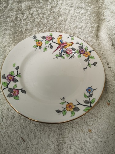 Crown staffordshire gold - staffordshire,