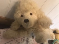 Alpha Farnell Poodle