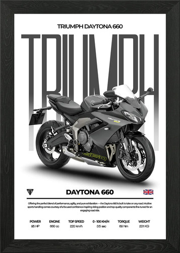 Triumph daytona 660 motorcycle - daytona,