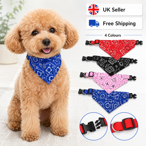 Neck decor triangular bandage - decor,