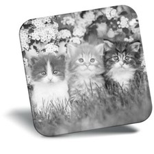 Awesome Fridge Magnet bw - Gorgeous Kittens Garden Cats Animals  #41343
