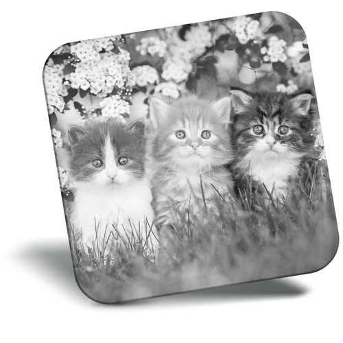 Awesome fridge magnet - fridge, bw