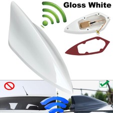 Universal Gloss White Car