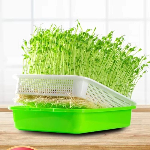 Microgreen sprouter tray - microgreen,
