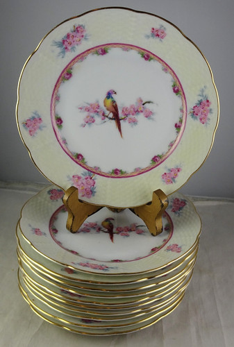 Eleven eichwald exotic bird - eleven,