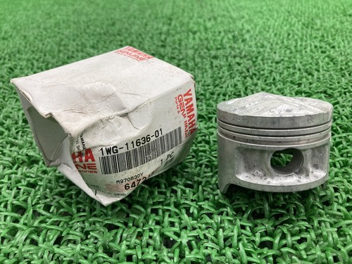 Yamaha genuine used - used, fzr400