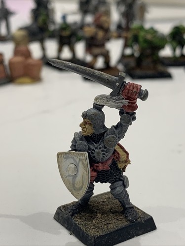 Citadel paladin baron boeuf - citadel,