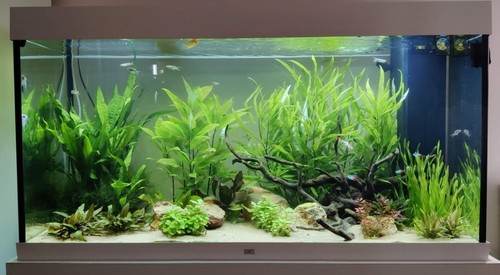 Juwel rio 350 aquarium - juwel,