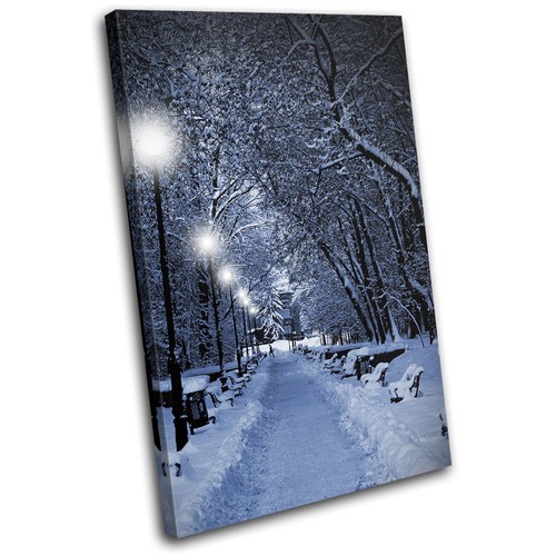 Snow scene park romantic walk - snow,